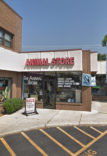 The Animal Store