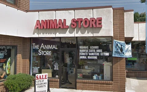 The Animal Store image
