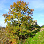 Photo n° 10 de l'avis de Clement.e fait le 27/07/2019 à 16:50 pour Forteresse de Crozant à Crozant