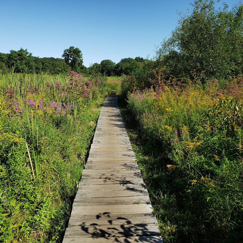 Rock Meadow Conservation Area