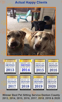 Angel Pet Watch - Photo 3 - Car repair in , Denton