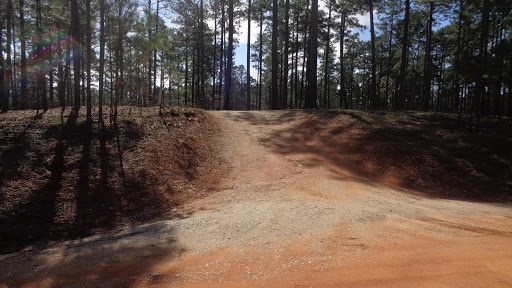 National Forest «Tuskegee National Forest», reviews and photos, 125 National Forest Rd 949, Tuskegee, AL 36083, USA