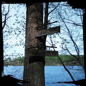 Winnekenni Park - photo 99