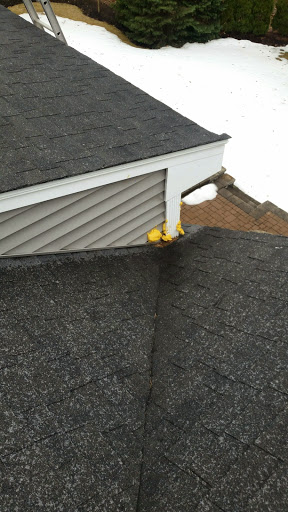 Park «Russell Mill Pond and Town Forest», reviews and photos, 105 Mill Rd, Chelmsford, MA 01824, USA