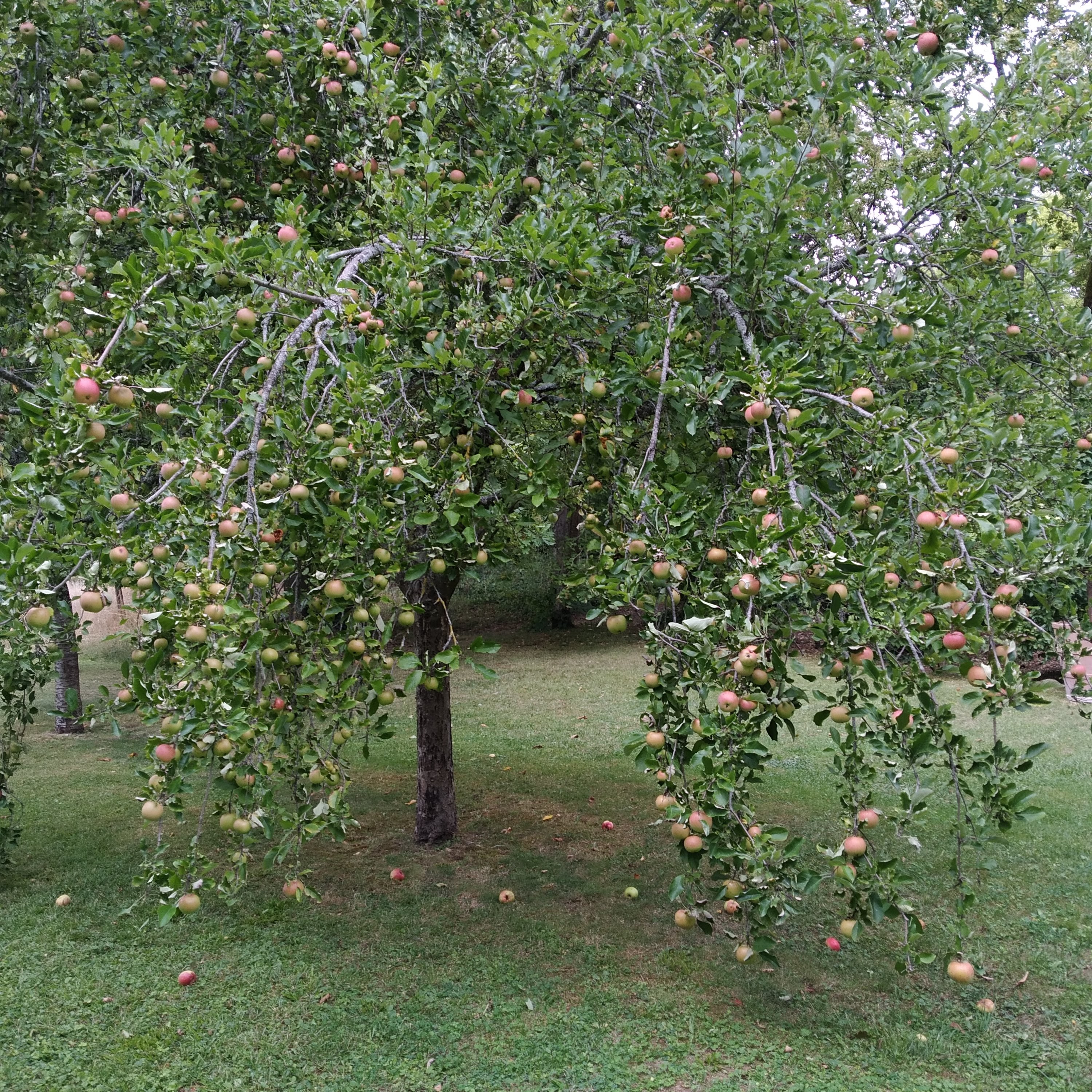 Photo n° 21 de l'avis de babeth.i fait le 17/09/2020 à 20:25