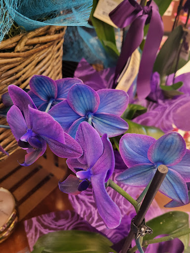 Albertsons image