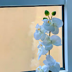 Photo n°2 de l'avis de Angelina.e fait le 08/11/2023 à 14:42 sur le  v. EVERT Hotel am Congress Centrum Würzburg GmbH à Würzburg