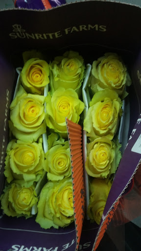 Florist «A Special Rose Florist», reviews and photos, 14546 Bruce B Downs Blvd, Tampa, FL 33613, USA