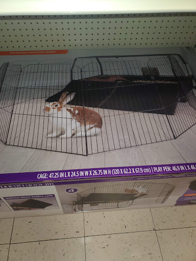 Pet Supply Store «PetSmart», reviews and photos, 3450 N Morrison Rd, Muncie, IN 47304, USA