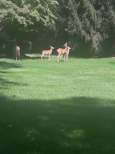 Warehouse club «BJ’s Wholesale Club», reviews and photos, 1904 NJ-35, Oakhurst, NJ 07755, USA