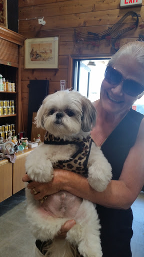 Furniture Store «Timeless Treasures Home Consignment», reviews and photos, 4554 Broad St #120, San Luis Obispo, CA 93406, USA