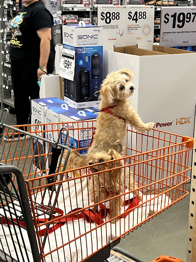 Home Improvement Store «The Home Depot», reviews and photos, 2980 S Euclid Ave, Ontario, CA 91762, USA