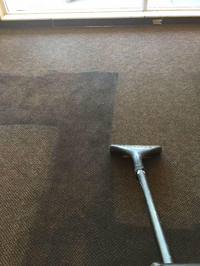 Dynamic Steam Carpet Cleaners