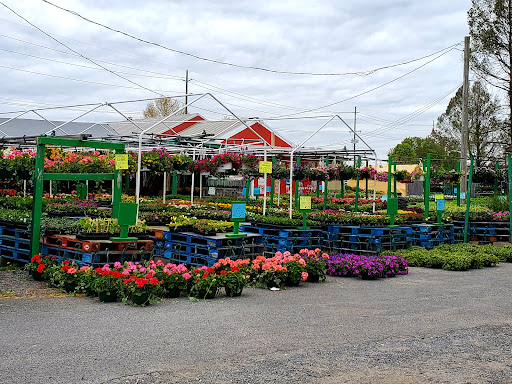 Produce Market «Puglias Produce», reviews and photos, 381 Fries Mill Rd, Sewell, NJ 08080, USA