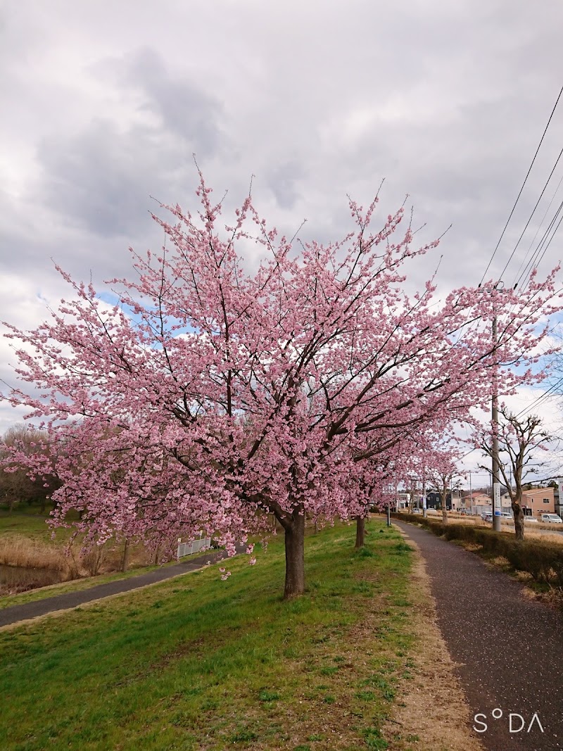 ひたち野みずべ公園