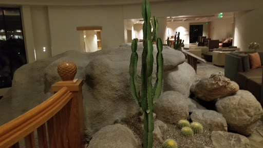 Spa «Aji Spa», reviews and photos, 5594 Wild Horse Pass Blvd, Chandler, AZ 85226, USA