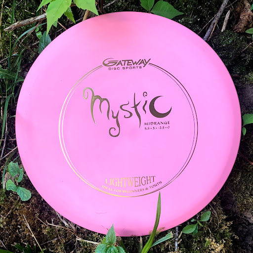 Sporting Goods Store «Gateway Disc Sports», reviews and photos, 10855 Metro Ct, Maryland Heights, MO 63043, USA