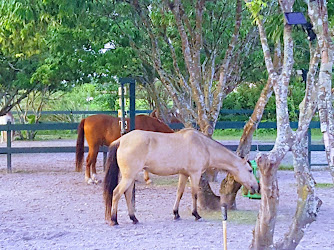 Bit-By-Bit Medical Therapeutic Riding Center
