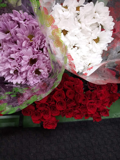 Grocery Store «El Super», reviews and photos, 14620 Parthenia St, Panorama City, CA 91402, USA