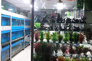 Rupali Fish Aquarium. image