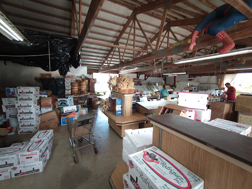 Stiles Vegetable Farm and Greenhouse, 11717 Sheridan Rd, Pleasant Prairie, WI 53158, USA, 