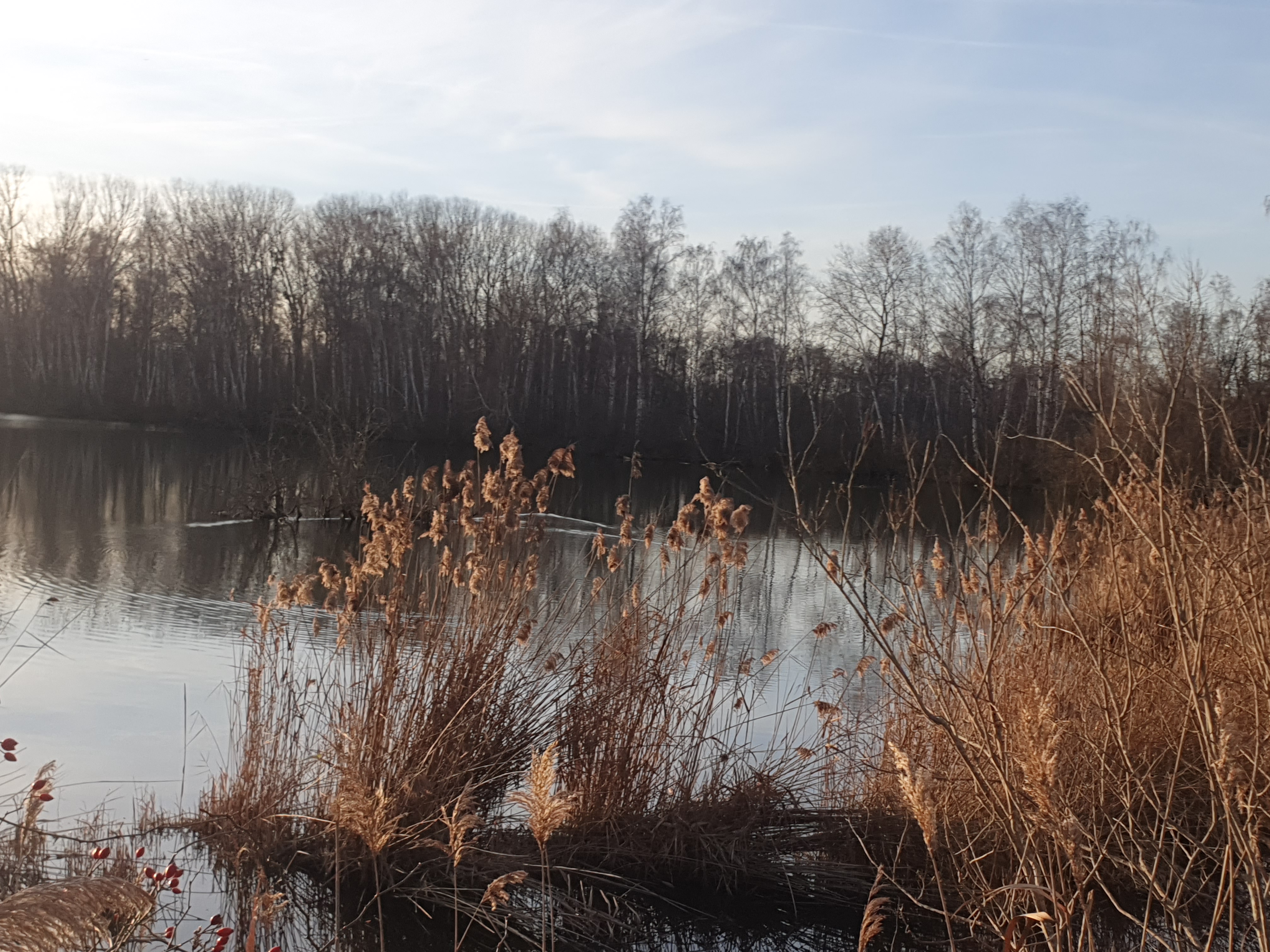 Photo n° 13 de l'avis de Albert.l fait le 27/01/2024 à 21:21