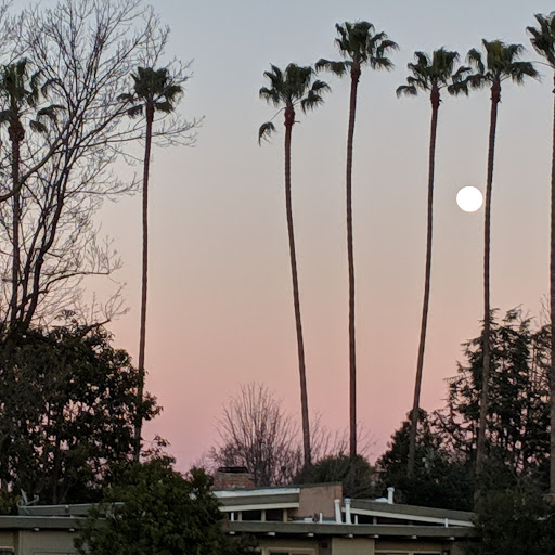 Pet Supply Store «Pet Food Express», reviews and photos, 3910 Middlefield Rd, Palo Alto, CA 94303, USA