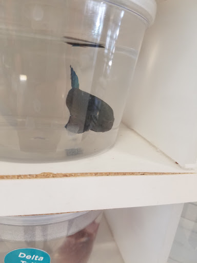 Pet Supply Store «Petco Animal Supplies», reviews and photos, 8644 E 96th St, Fishers, IN 46038, USA