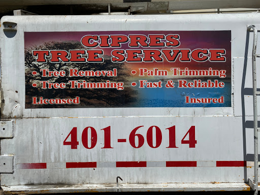 Cipres Tree Service