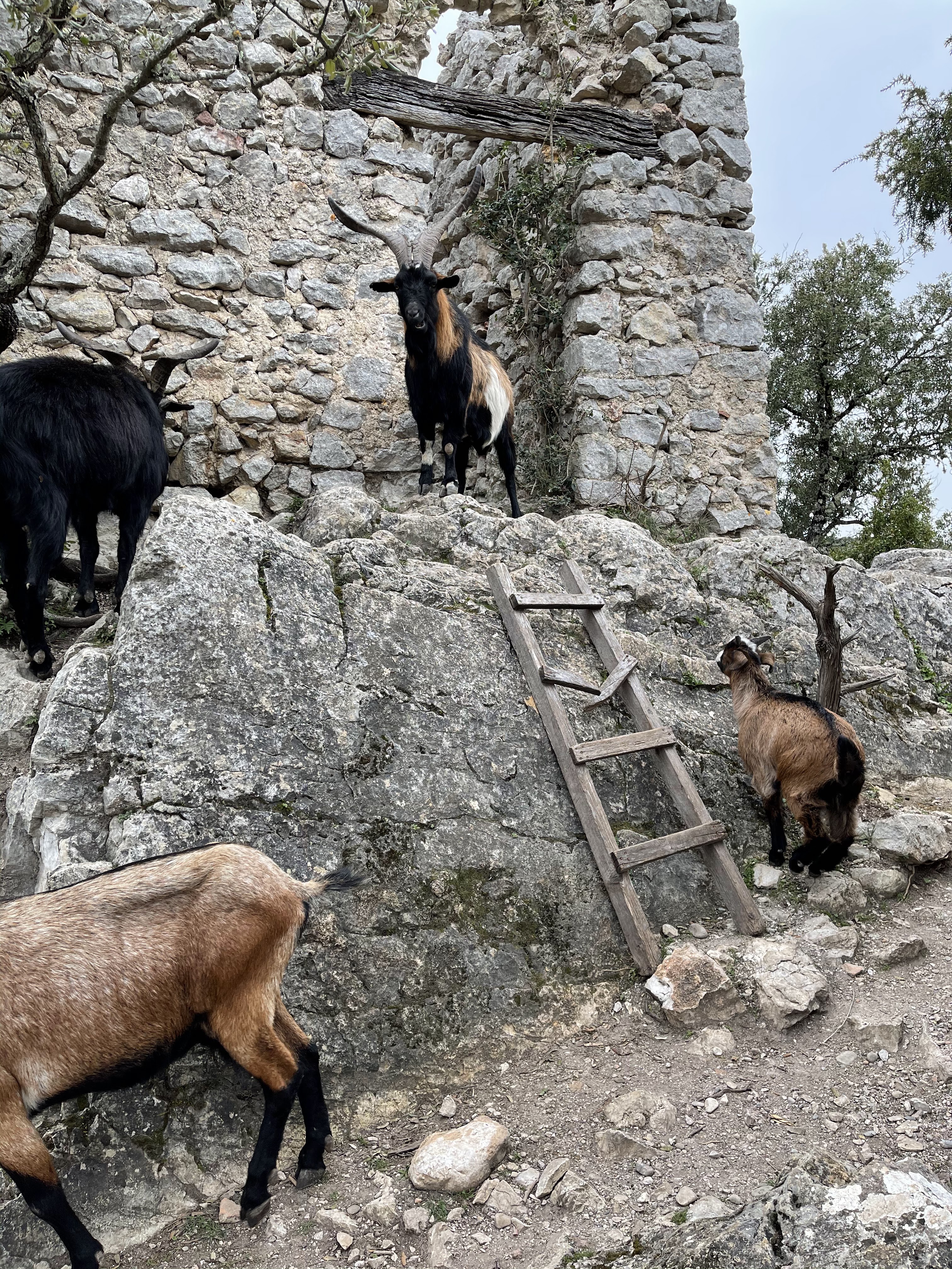 Photo n° 8 de l'avis de Stéphane.A fait le 23/03/2021 à 08:47