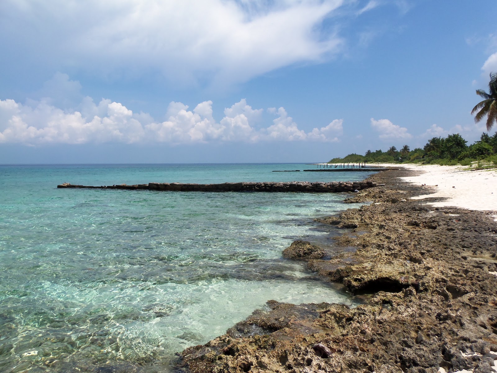 Foto av Playa Maria La Gorda med ljus sand och stenar yta