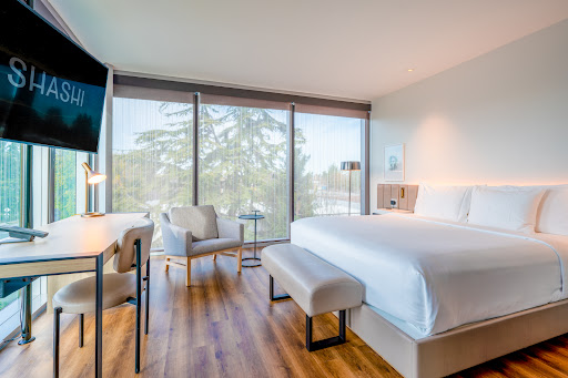 Shashi Hotel Mountain View, an Urban Resort image