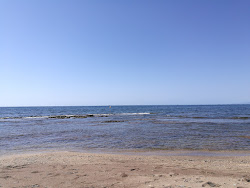 Photo de Playa de la Cola zone sauvage