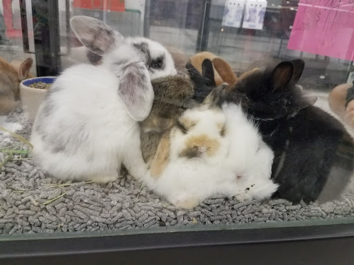 Pet Store «Super Pets», reviews and photos, 9403 E Las Tunas Dr, Temple City, CA 91780, USA