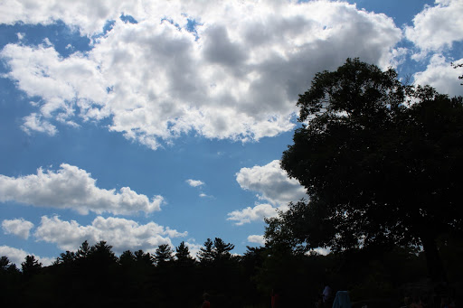 State Park «Breakheart Reservation», reviews and photos, 177 Forest St, Saugus, MA 01906, USA