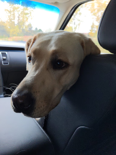 Coffee Store «Tim Hortons», reviews and photos, 3975 S State St, Ann Arbor, MI 48103, USA