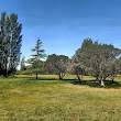 Ascot Park Disc Golf Course