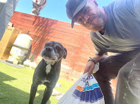 Alliance Pool Care - Photo 8 - Car repair in Riverside, CA, Riverside