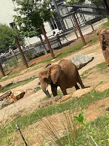 Aquarium «Georgia Aquarium», reviews and photos, 225 Baker St NW, Atlanta, GA 30313, USA