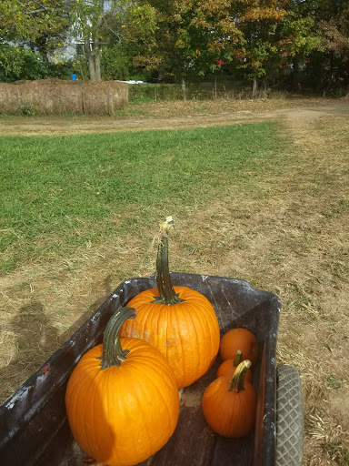 Farm «Wright Family Farm», reviews and photos, 329 Kings Hwy, Warwick, NY 10990, USA