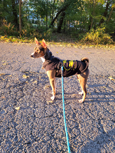 Nature Preserve «Thaddeus S. 