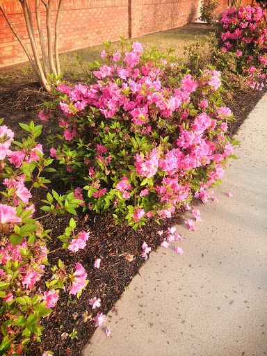 Supermarket «ALDI», reviews and photos, 3665 Vandora Springs Rd, Fort Mill, SC 29708, USA