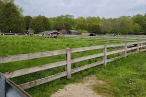 The Farm image