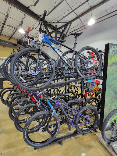 Bicycle Store «Bike Barn - Westchase», reviews and photos, 11105 Westheimer Rd, Houston, TX 77042, USA