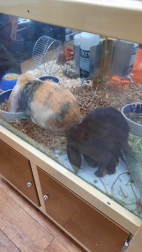 Pet Supply Store «Pet Supermarket», reviews and photos, 1800 W 68th St #140, Hialeah, FL 33014, USA