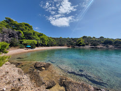 Zdjęcie Triantafyllou beach z mała zatoka