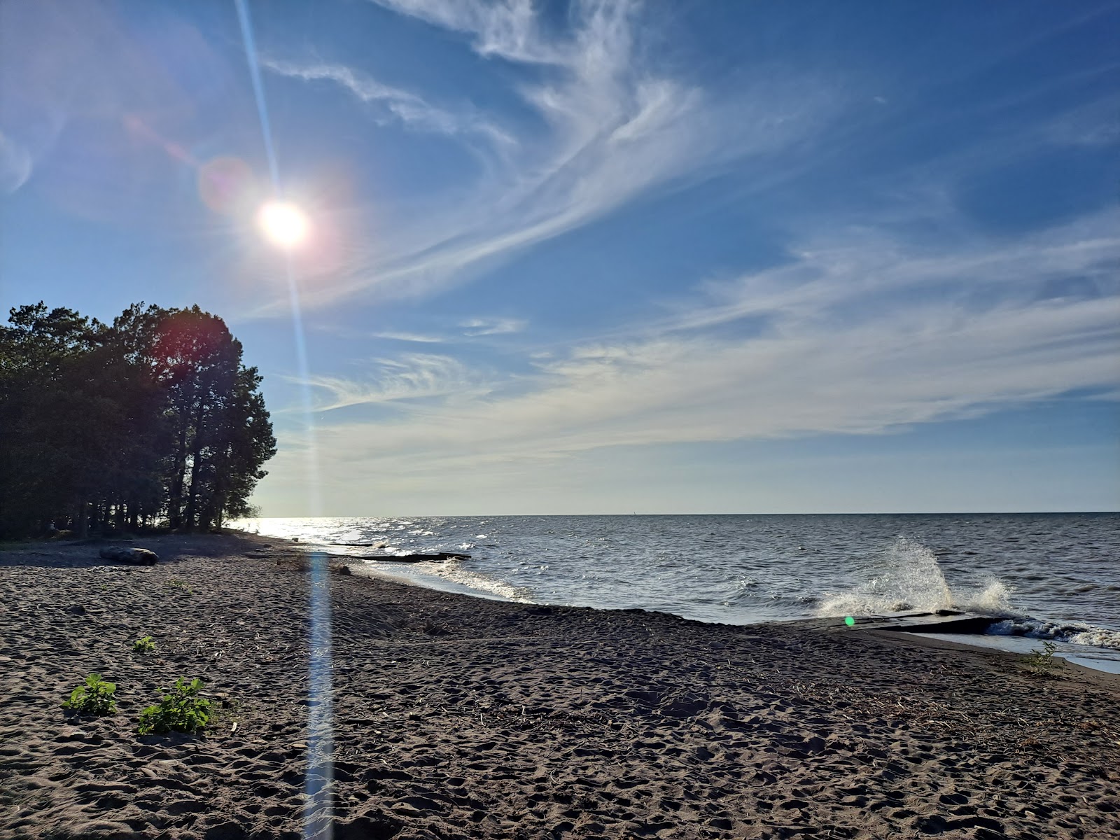 Fotografie cu Raccoon Beach amplasat într-o zonă naturală