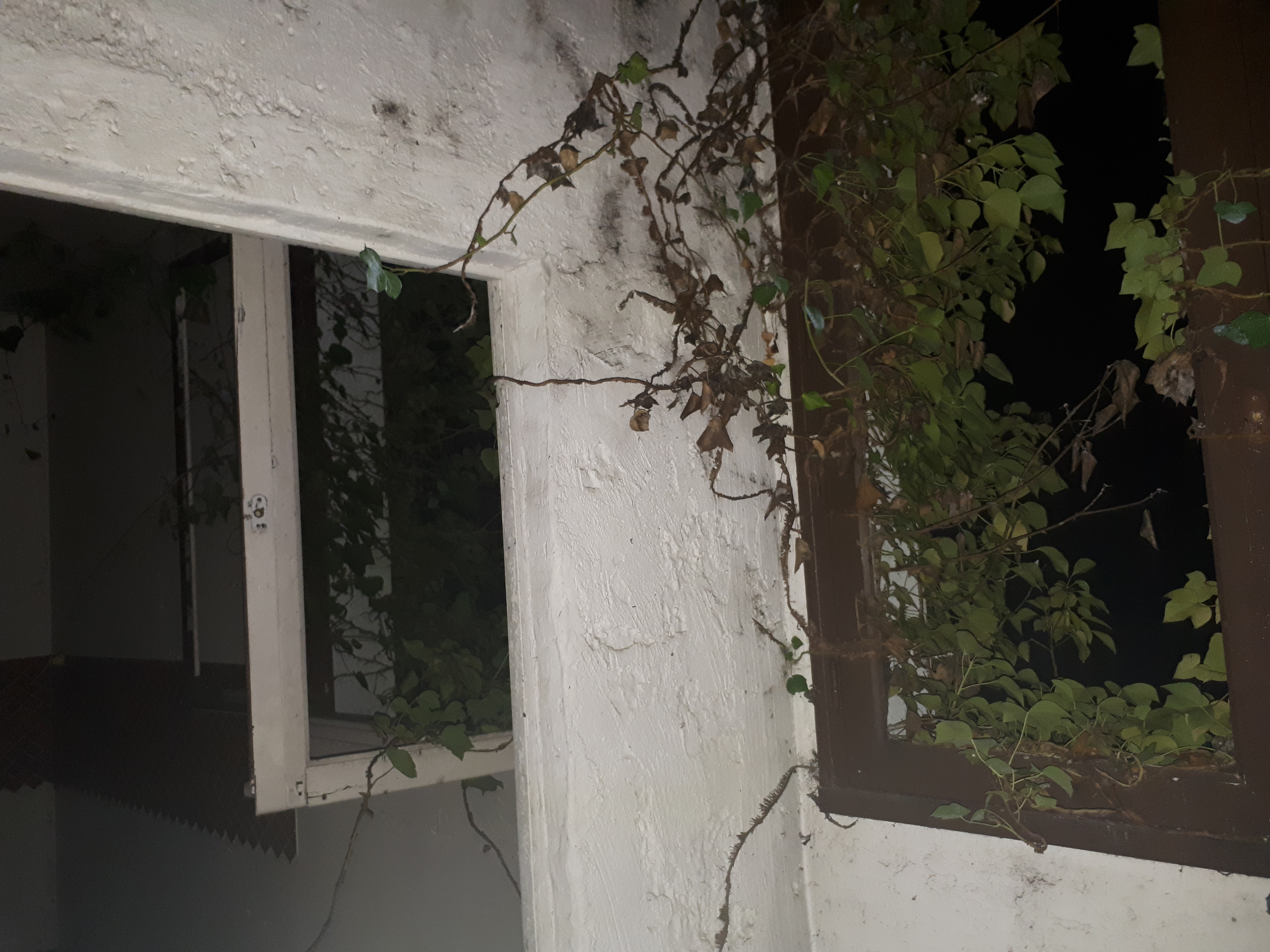 Photo n° 2 de l'avis de Xavier.o fait le 06/02/2019 à 01:23