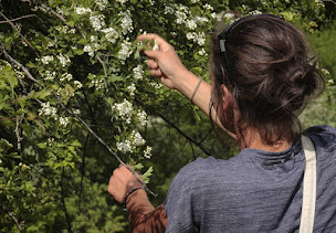 Photo n°9 de Hautes Herbes à Saint-Firmin ()