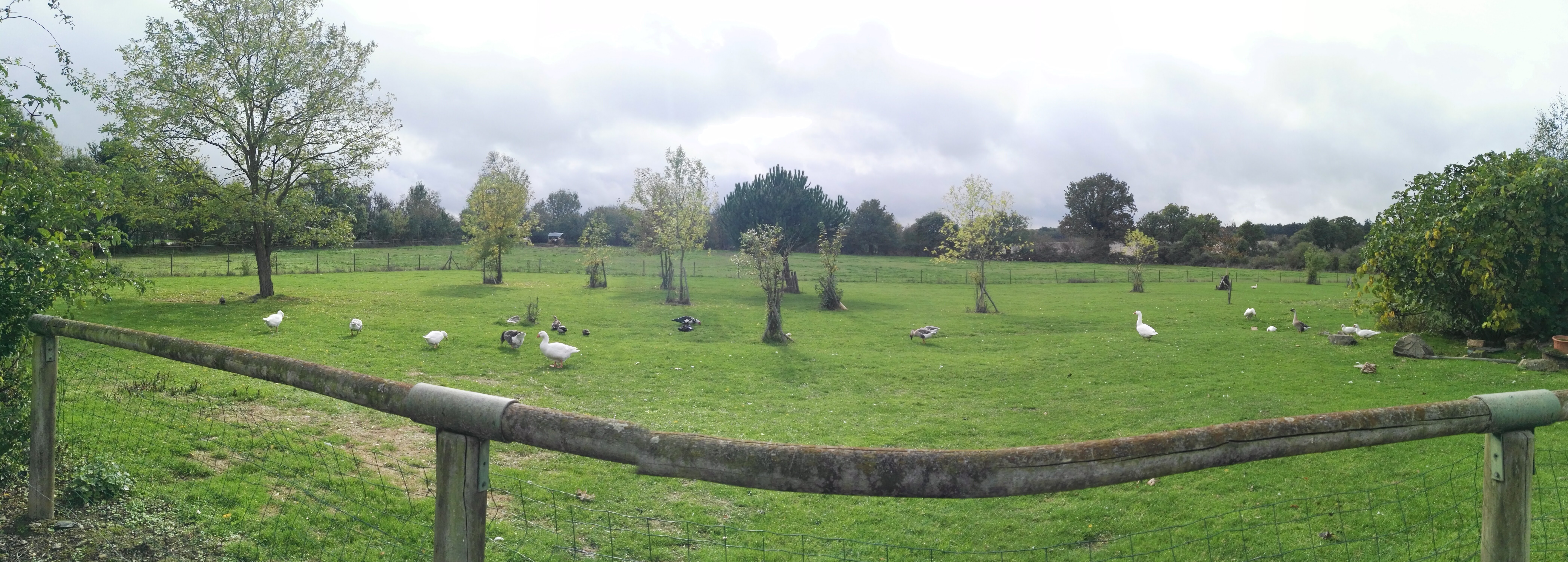 Photo n° 2 de l'avis de Fabien.u fait le 25/10/2019 à 13:25